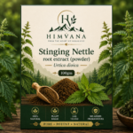 Stinging Nettle Root Extract (Powder) Urtica Dioica