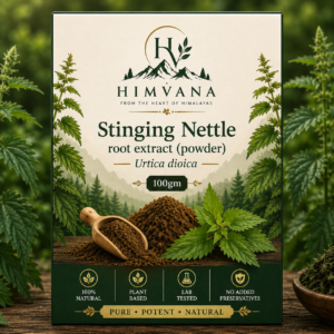 Stinging Nettle Root Extract (Powder) Urtica Dioica