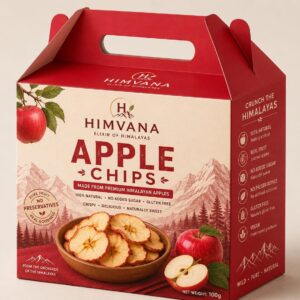 Apple Chips Plain (100gm)