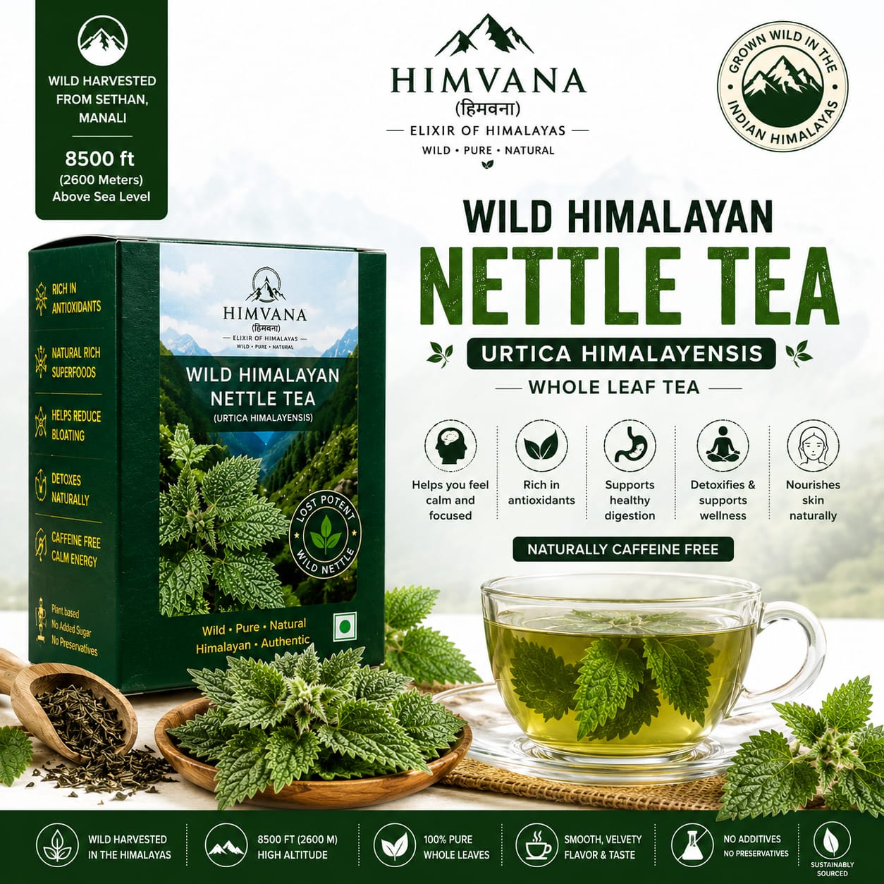 Common Nettle Tea Urtica Dioica (30gm) - Image 3